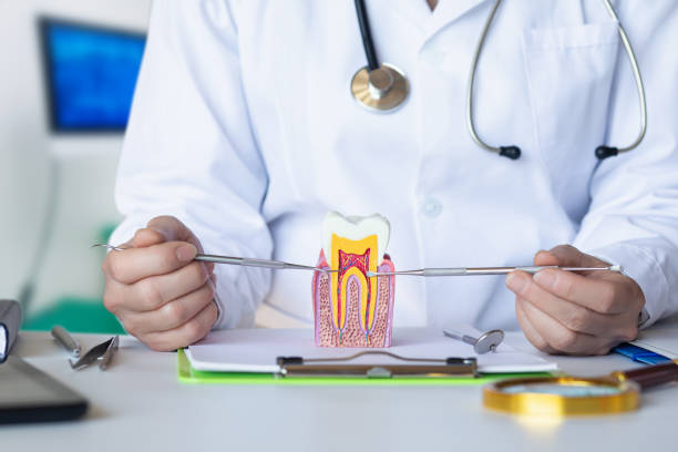 Best Emergency Dental Care for Broken or Chipped Teeth in Brass Castle, NJ